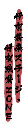 伊賀襲来ステージ・伊賀強襲ZONE
